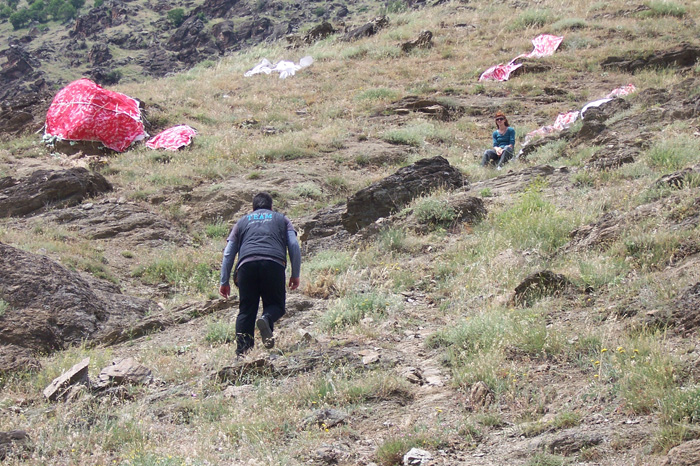 images/erga_spoudaston/gelos_small/gelos_dimiourgia (1).jpg